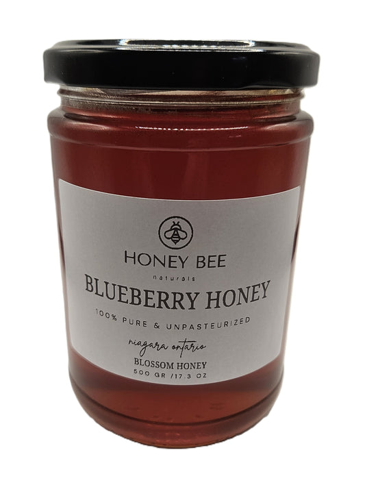 Blueberry Blossom Honey Unpasteurized 500 gram Honey Bee Naturals