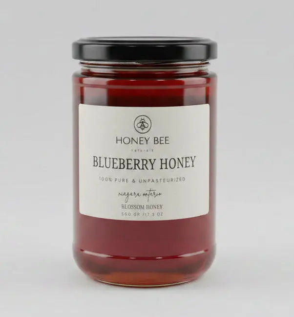 Blueberry Blossom Honey Unpasteurized 500 gram Honey Bee Naturals