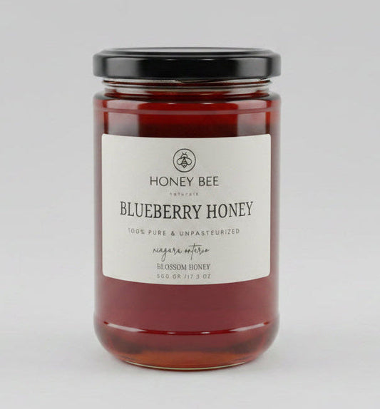 Blueberry Blossom Honey Unpasteurized 500 gram Honey Bee Naturals