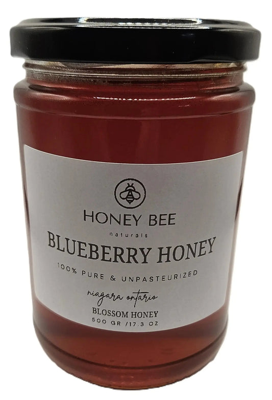 Blueberry Blossom Honey Unpasteurized 500 gram Honey Bee Naturals