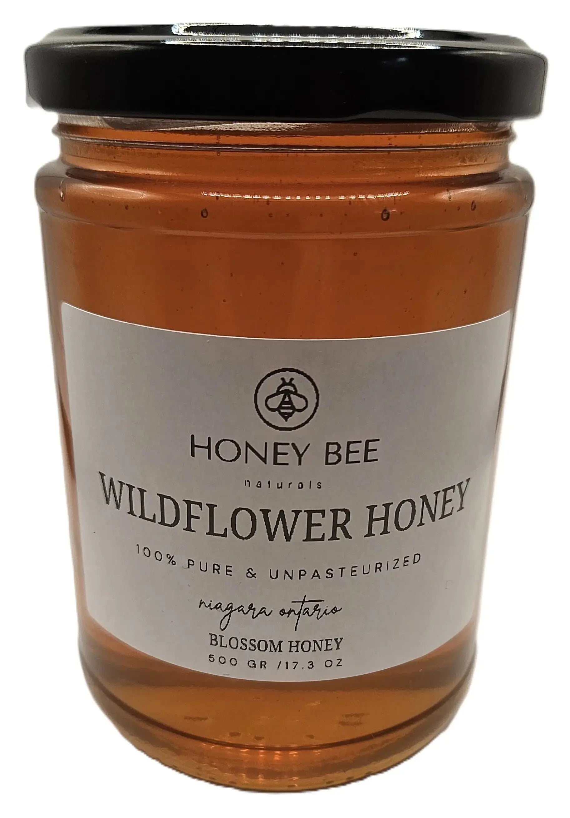 Wildflower Blossom Honey Unpasteurized 500 gram Honey Bee Naturals